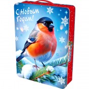 Портфель Зимняя трель (арт. TIM/20057)